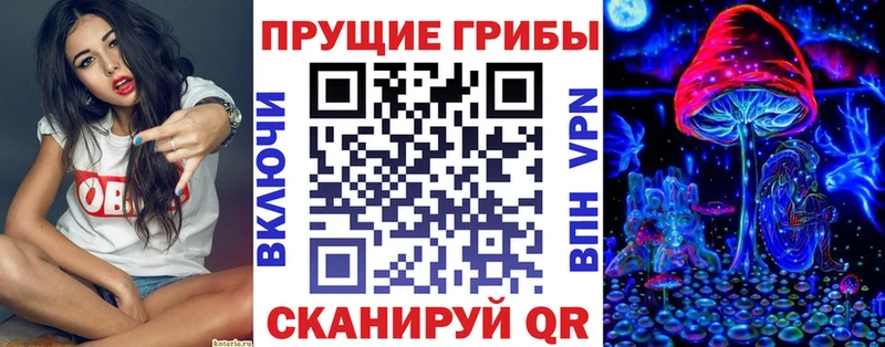 блэк спрут ССЫЛКА  закладка  Невьянск  Псилоцибиновые грибы Psilocybe 